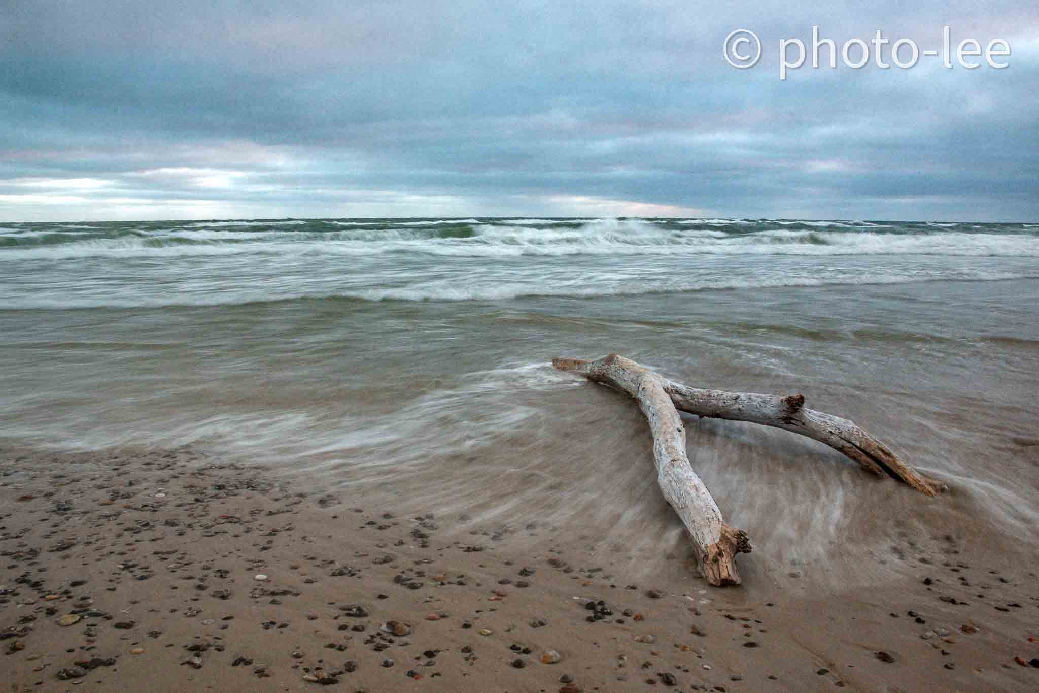 Die Reste einer Welle fließen unter einem großen Ast an der Küste Dänemarks